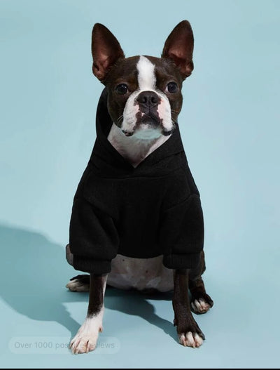 Pet Hoodie Plain Black