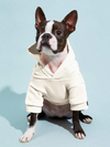 Pet Hoodie Plain Black Beige Dogs