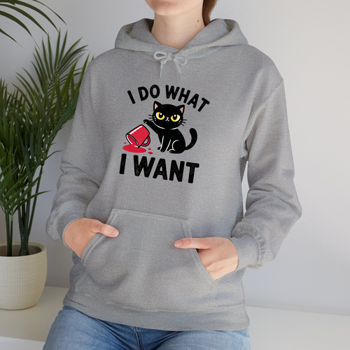 Heather Grey Hoodie I Do What I Want