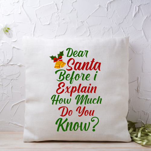 Dear Santa Before I Can Explain Printed Cushion